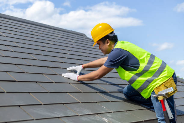 Best Roof Maintenance Services  in Logan Elm Village, OH