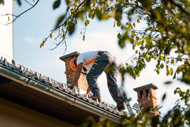 Best Affordable Roofing Company  in Logan Elm Village, OH