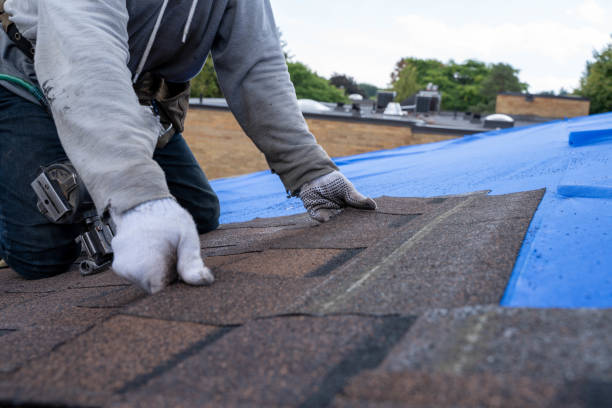 Best New Roof Installation  in Logan Elm Village, OH