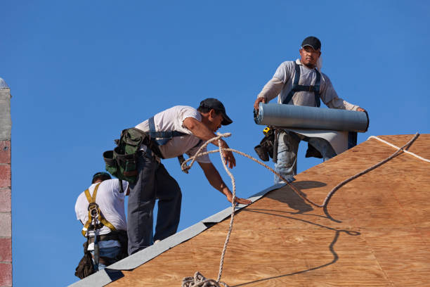 Best Roof Maintenance Services  in Logan Elm Village, OH