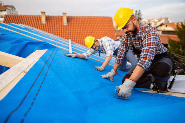 Professional Roofing Contractor in Logan Elm Village, OH