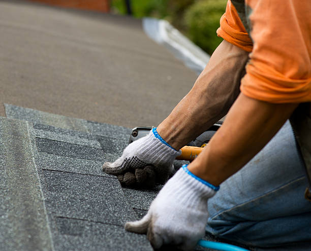 Best Roof Gutter Cleaning  in Logan Elm Village, OH