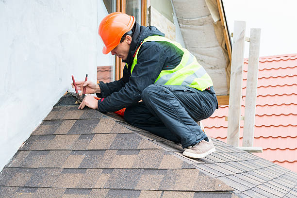 Best Roof Restoration Services  in Logan Elm Village, OH